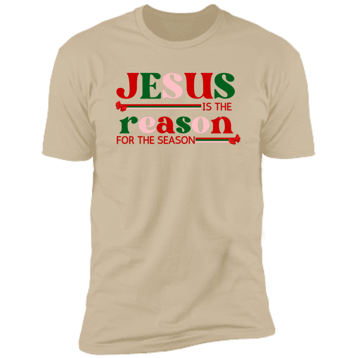 Jesus is the Reason T - Shirt