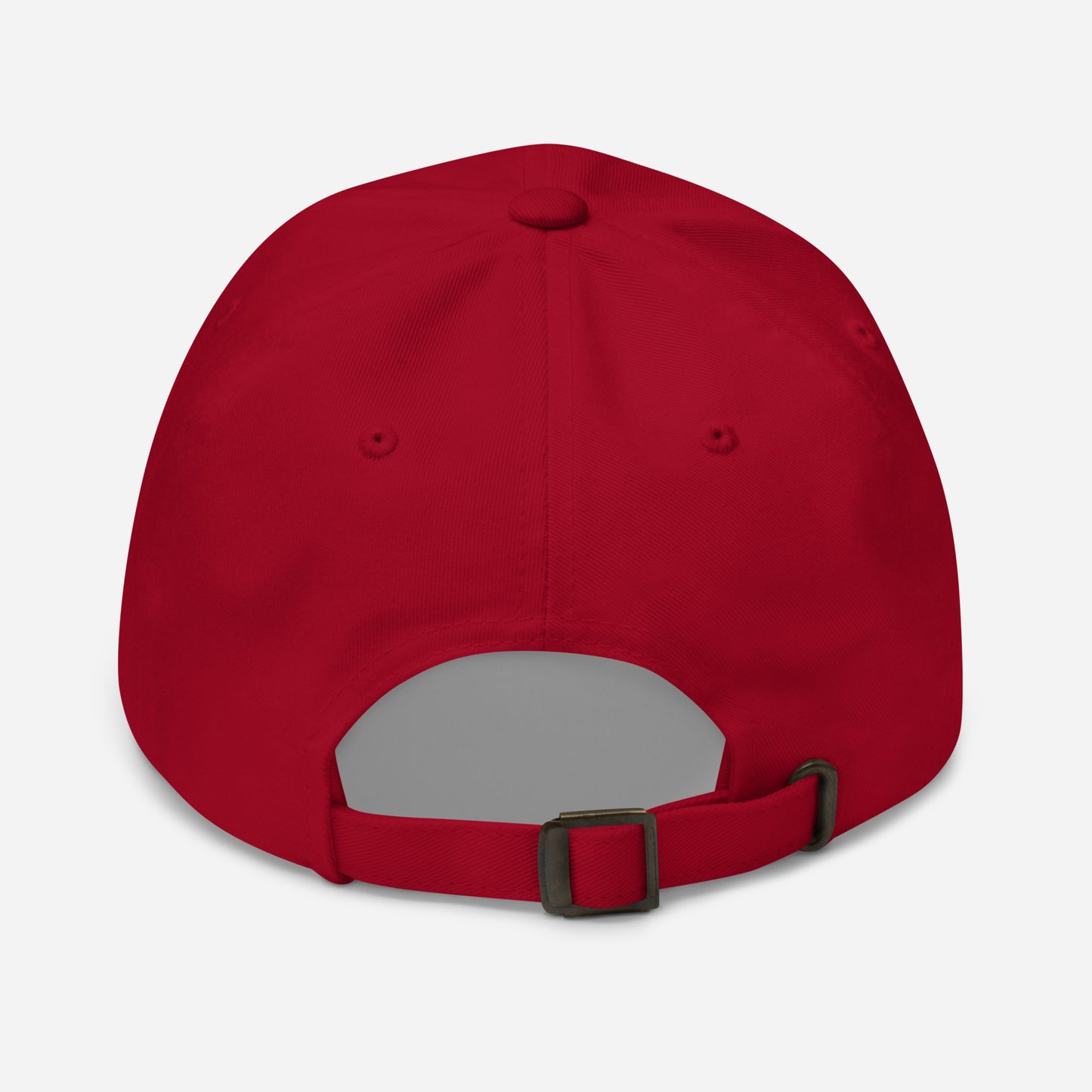 Salty Cap | Matthew 5:13