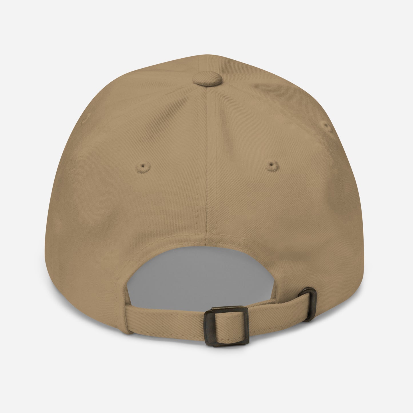 Salty Cap | Matthew 5:13