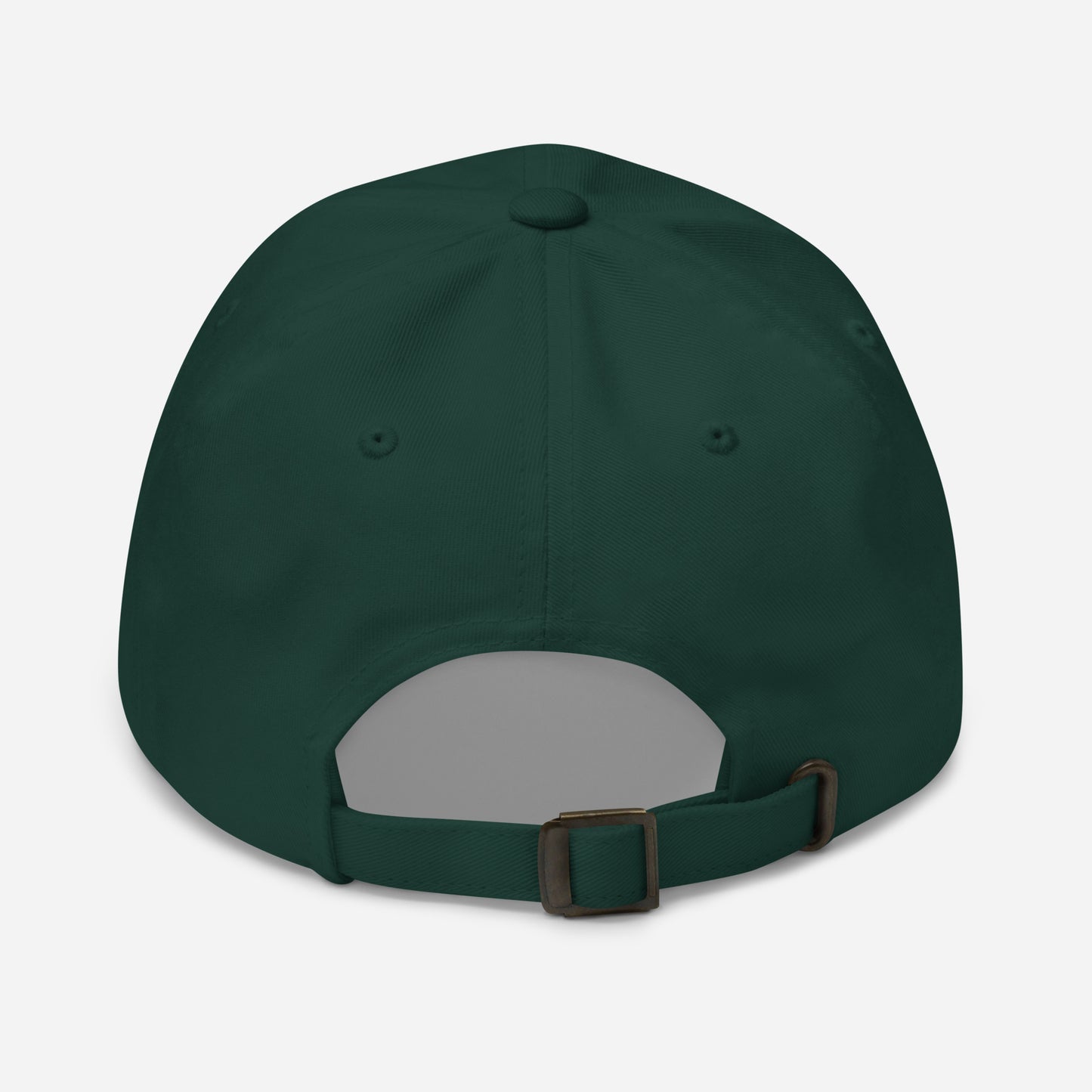 Salty Cap | Matthew 5:13