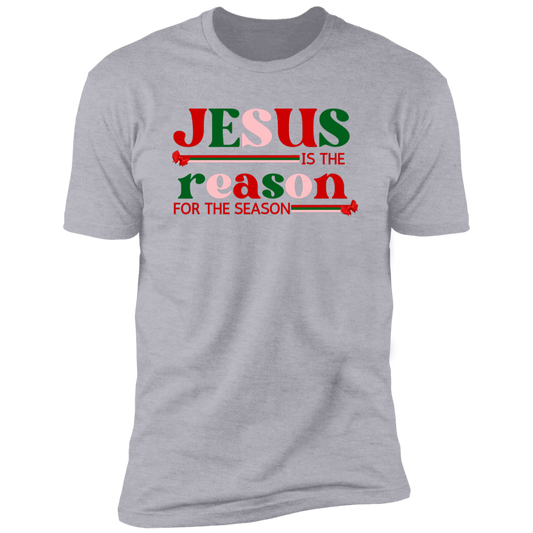 Jesus is the Reason  T - Shirt