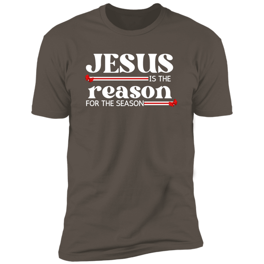 Jesus is the Reason  T - Shirt